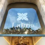 Lauria